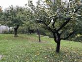 Garten 1 - 6 Zimmer Einfamilienhaus in Schwaigern