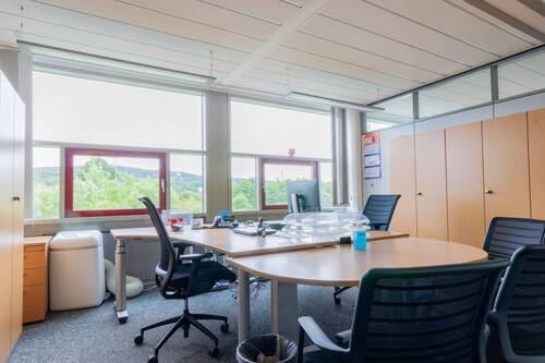 Büro - Halle in Arnsberg zur Miete