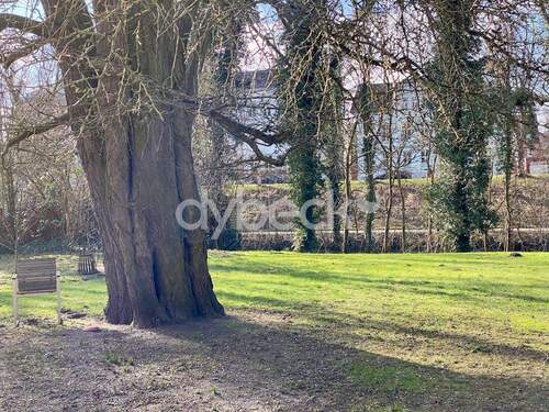 Garten zur Ilmenau - 