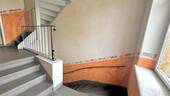 IMG_1649.JPG - 