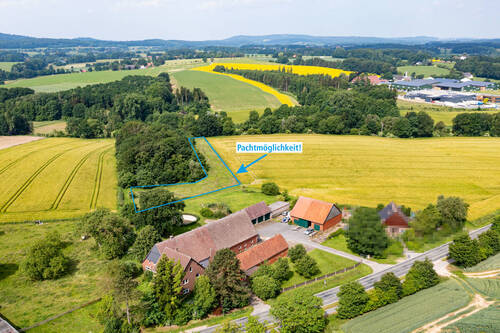 Pachtmöglichkeit - 8 Zimmer Einfamilienhaus in Werther