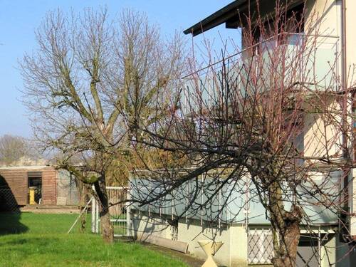 Gartenansicht - Mehrfamilienhaus, Wohnhaus mit 203,00 m² in Bad Homburg vor der Höhe zum Kaufen