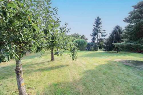 Weitläufiges Grundstück - 