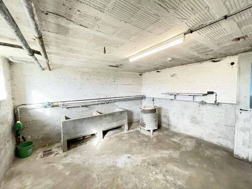 die große Waschküche - 