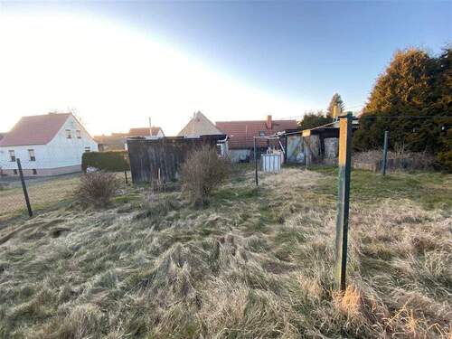 Blick übers Grundstück - 