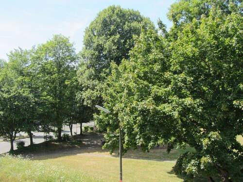 Blick v.d. Loggia in den Park - AlfterBonn *Wohlfühlwohnung* Aufzug!* SW-Loggia *Stellplatz* Barrierearm*renoviert!