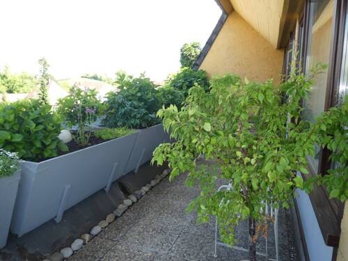 Kleine, grüne Wohlfühloase - 