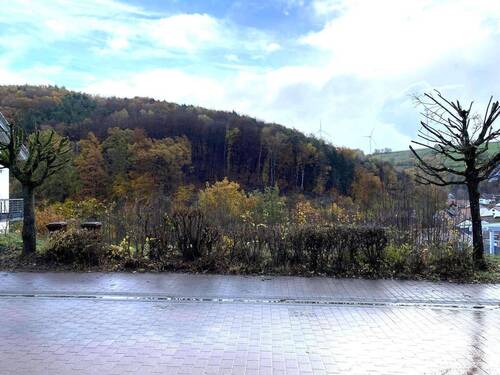 Blickrichtung Ost - Grundstück zum Kaufen in Obernheim-Kirchenarnbach