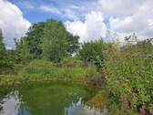 Schwimmteich Sommer - 