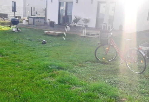 20241029_092749.jpg - 