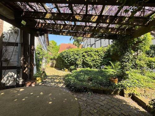 Blick in den Garten - 