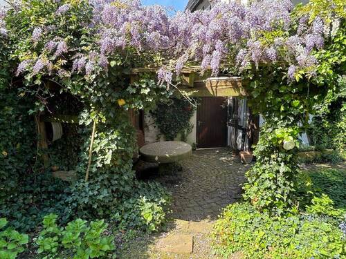 Terrasse - 