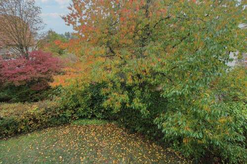 Ausblick - Etagenwohnung mit 67,10 m&sup2; in Magdeburg zum Kaufen