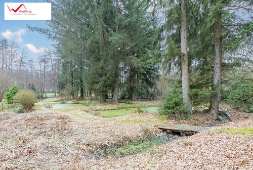 Grundstück hinten - 