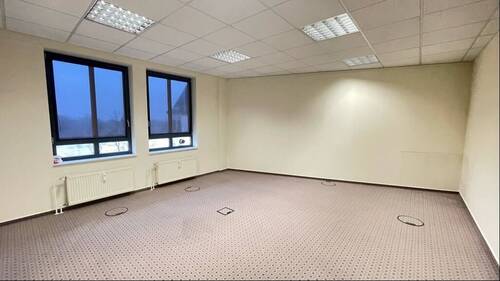 Büro - 9 Zimmer Büro in Dresden