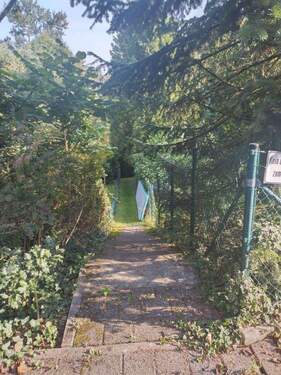 Weg zum Garten - 