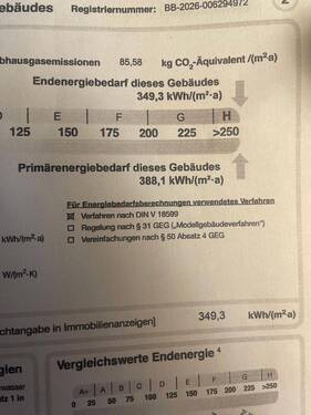 IMG_1970.jpeg - 