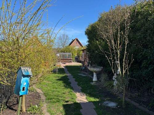 Blick in den Garten - 
