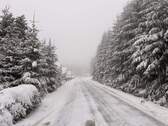 Das Vogtland im Schnee - 