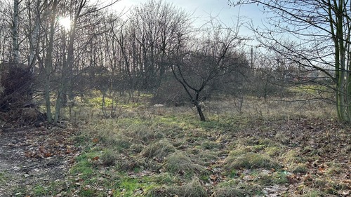 Grundstücksansicht - Grundstück in Kamenz zum Kaufen