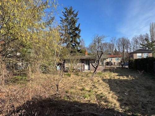 IMG_8926 - Baugrundstück in Wilhelmsruh - 320.000,00&nbsp;EUR Kaufpreis, ca.&nbsp; 0,00&nbsp;m&sup2;