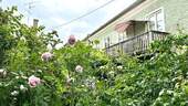 Bild 17 - 