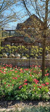 Blick von der Straße - 