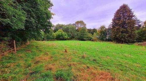 Bild 13 - 