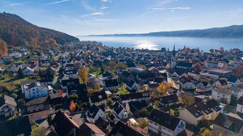 DJI_20251104113635_0542_D - 