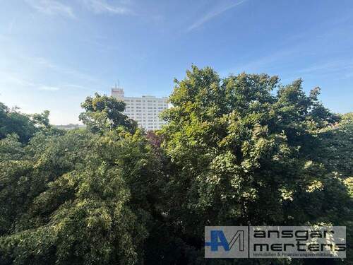 Blick aus dem Esszimmer - 