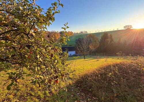 Herrlicher Apfelbaum - Ruhiges Grundstück vor den Toren der Landeshauptstadt