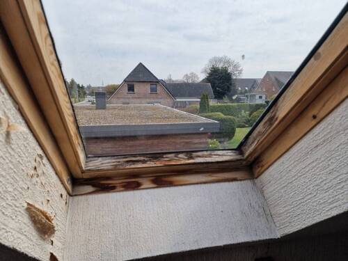 Fenster - 