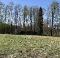 Wohnen am Waldrand - 60.500,00 EUR Kaufpreis, ca.  0,00 m² in Sebnitz (PLZ: 01855)