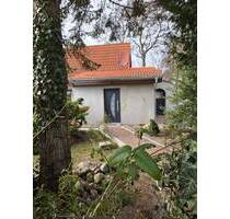 TOP modernisiertes und individuelles kuscheliges Haus - ruhige Lage - super Grundstück - Karlshagen