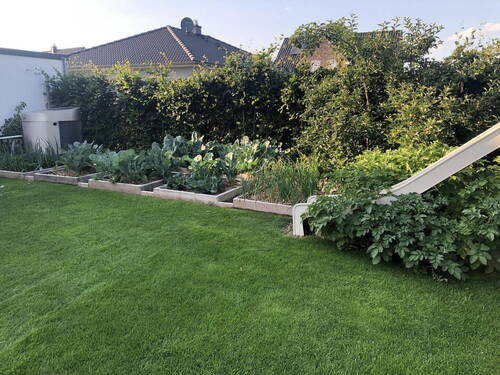 Gemüsebeete und Rutsche - 