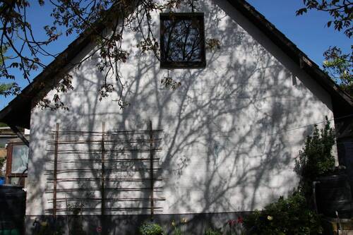 HAUS RÜCKSEITE MIT BLICK IN DEN GARTEN - 