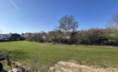 Ausblick ins Grüne - 
