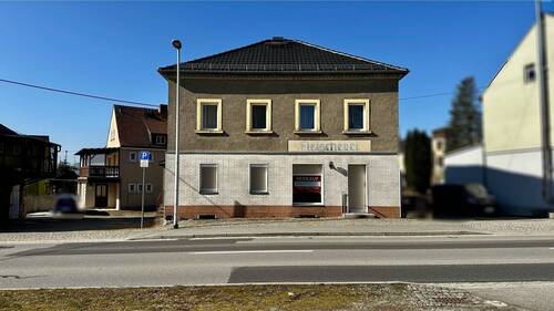 Außenansicht - 6 Zimmer Einfamilienhaus in Frankenthal