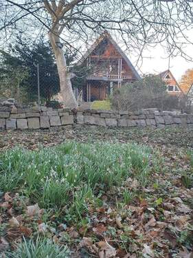 Blick aus dem Wald - 5 Zimmer Einfamilienhaus in Reinbek