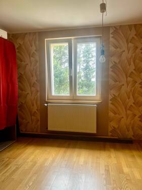 IMG_7090 2.jpeg - 