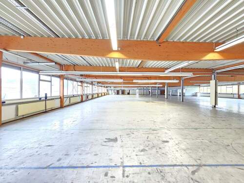 Bild 4 - Halle in Wehingen zum Kaufen
