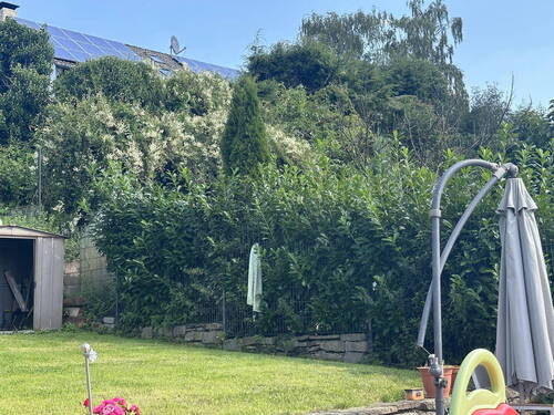 Bild 10 - 
