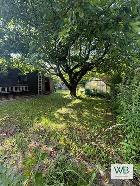 Garten - Einfamilienhaus mit 169,30 m² in Königslutter am Elm zum Kaufen