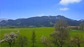 Aussicht - 3 Zimmer Etagenwohnung in Nesselwang