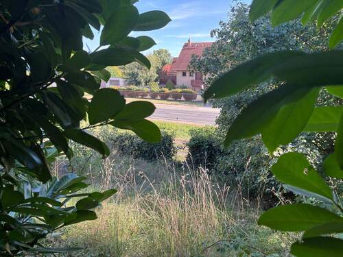 Platz für Ideen (Garten unten) - 