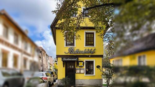 Westansicht - Haus Plattenbühl: Rarität im Böblinger Künstlerviertel