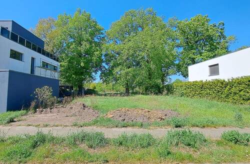 20240502_120330.jpg - Großzügiges Baugrundstück im Neubaugebiet