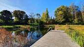 Schwimmteich (1) - 