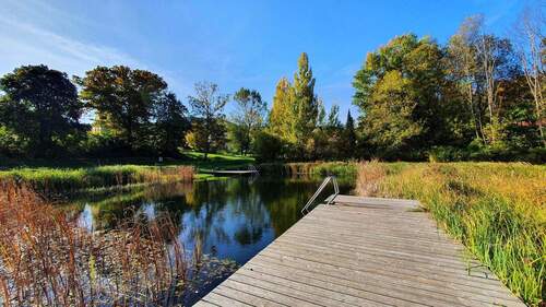 Schwimmteich (1) - 