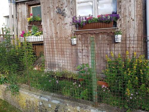 Eingangsbereich Holz- Vorbau - 